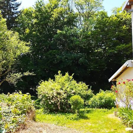 Les Glycines, un air de campagne à la ville Besançon Exterior foto